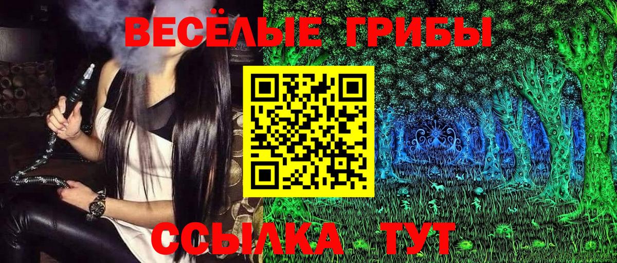Галлюциногенные грибы Cubensis Шахты
