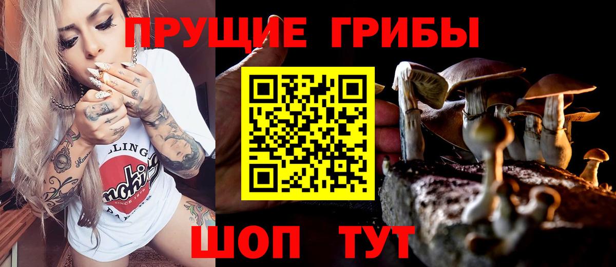 Галлюциногенные грибы Cubensis  Псилоцибиновые грибы GOLDEN TEACHER  Шахты  Вход с VPN 